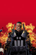 Load image into Gallery viewer, MARVEL KNIGHTS PUNISHER TP VOL 01