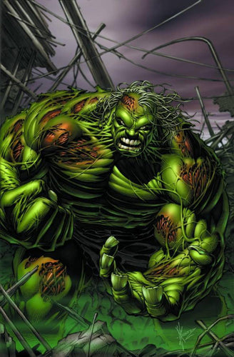 INCREDIBLE HULK THE END 2002 #1