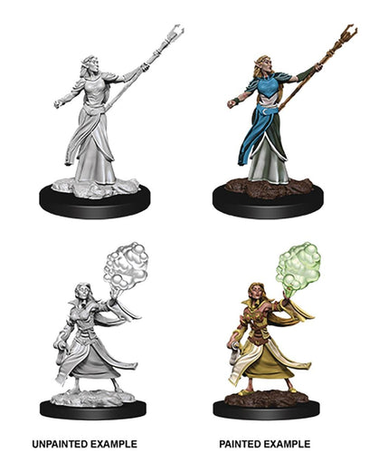 D&D NOLZARS MARVELOUS FEMALE ELF SORCERER