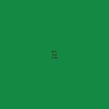 Load image into Gallery viewer, 09011 MASTER PAINT SERIES 1/2 OZ LEAF GREEN
