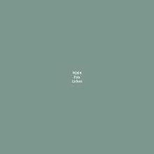 Load image into Gallery viewer, MASTER PAINT SERIES 1/2 OZ PALE LICHEN
