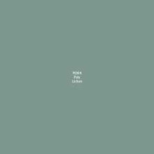 Load image into Gallery viewer, MASTER PAINT SERIES 1/2 OZ PALE LICHEN
