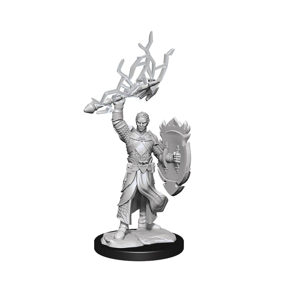 D&D NOLZURS MARVELOUS MINIS HALF-ELF PALADIN MALE