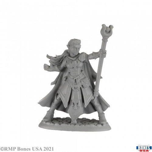 ALAEDRIL STARBLOOM ELF WIZARD MINI