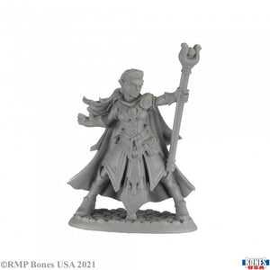 ALAEDRIL STARBLOOM ELF WIZARD MINI