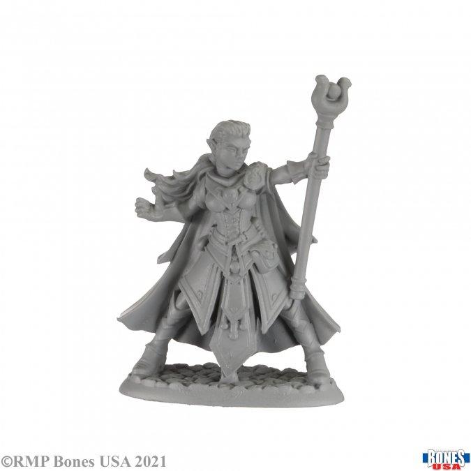 ALAEDRIL STARBLOOM ELF WIZARD MINI