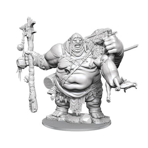 D&D FRAMEWORKS HILL GIANT