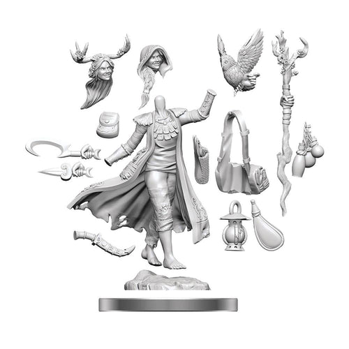 D&D FRAMEWORKS HUMAN DRUID FEMALE