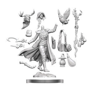 D&D FRAMEWORKS HUMAN DRUID FEMALE