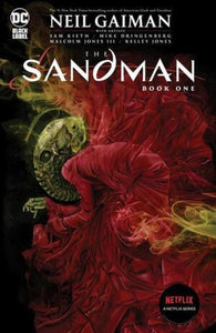 SANDMAN BOOK ONE TP