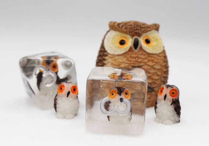 FOAM BRAIN WISE OWL RPG DICE SET