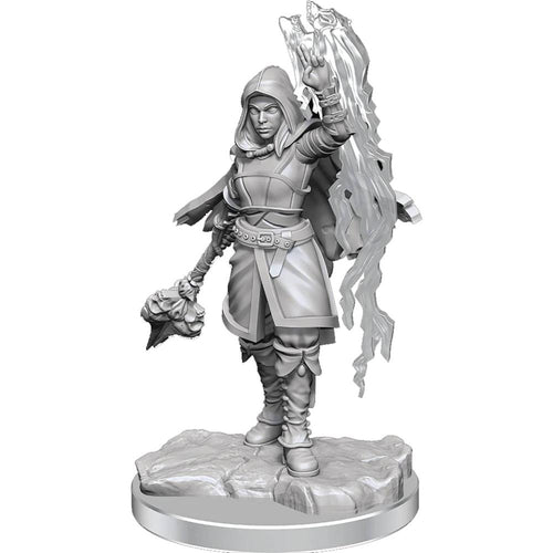 D&D NOLZURS MARVELOUS MINIS HALF ELF WARLOCK