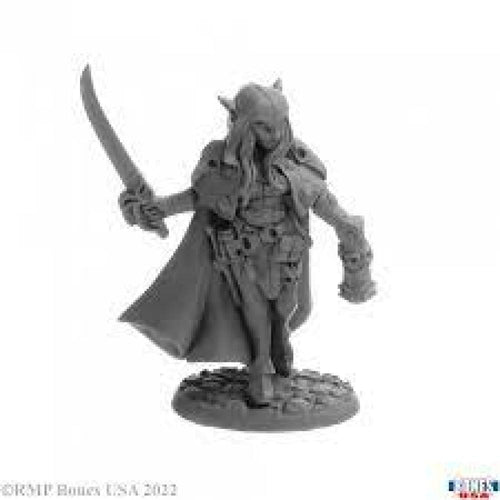 REAPER MINI 30095 TURVYN GHOSTWALKER