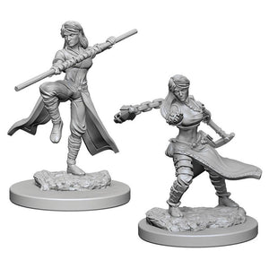 DUNGEONS AND DRAGONS NOLZURS MARVELOUS MINIATURES FEMALE HUMAN MONK W 01