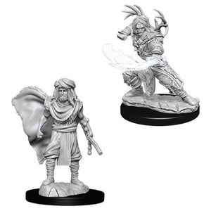 D&D NOLZURS MARVELOUS MINIS MALER HUMAN DRUID