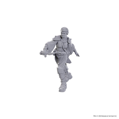 NOLZURS MARVELOUS MINIATURES SWASHBUCKLER