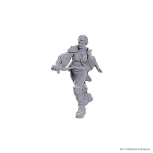 NOLZURS MARVELOUS MINIATURES SWASHBUCKLER