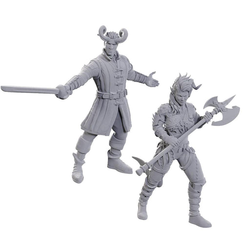 D&D NOLZUR'S MARVELOUS MINIATURES SPECIAL EDITION BALDURS GATE 3 - WYLL & KARLACH