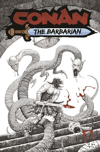 CONAN THE BARBARIAN #24 CVR B LUKE EIDENSCHINK VAR
