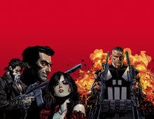 Load image into Gallery viewer, MARVEL KNIGHTS PUNISHER TP VOL 01
