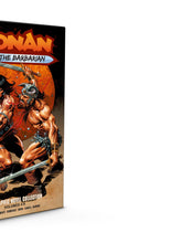 Load image into Gallery viewer, CONAN THE BARBARIAN HC VOL 04-06 SLIPCASE SET DIRECT MARKET EDITION DAN PANOSIAN CVR
