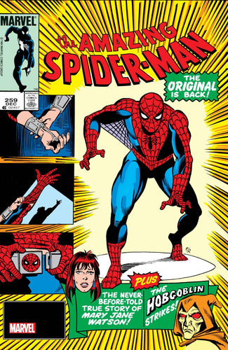 AMAZING SPIDER-MAN 1963 #259