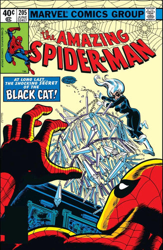 AMAZING SPIDER-MAN 1963 #205