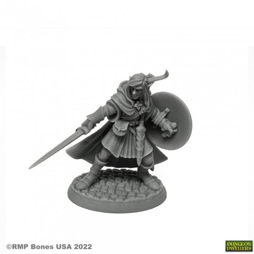 MELLONIR WINDRUNNER ELF WARRIOR