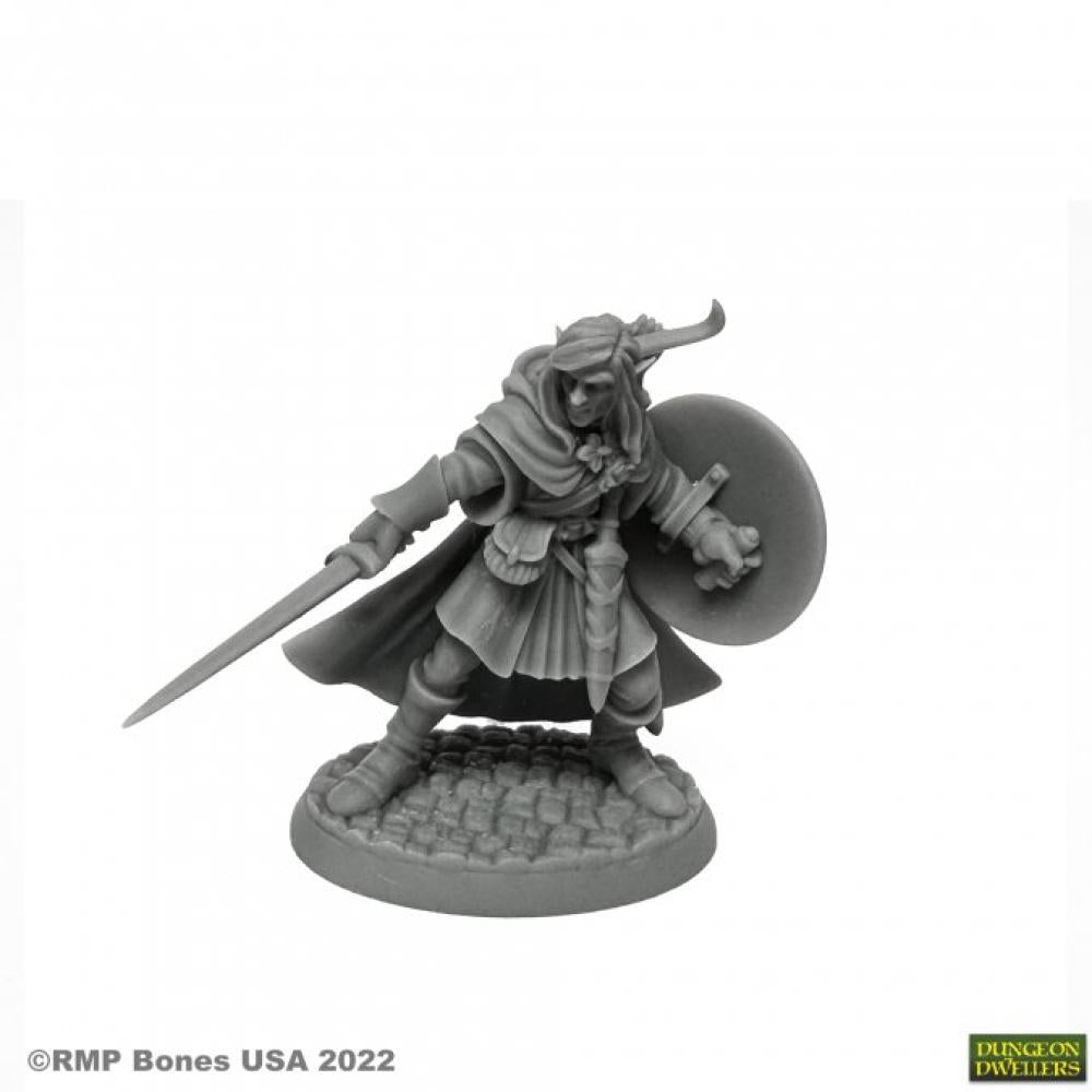 MELLONIR WINDRUNNER ELF WARRIOR