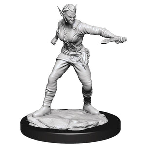 D&D NOLZARS MARVELOUS MINIS SHIFTER ROGUE FEMALE