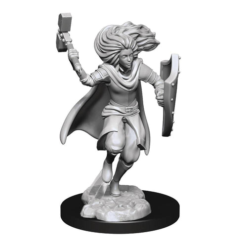 D&D NOLZURS MARVELOUS MINIS CHANGELING CLERIC