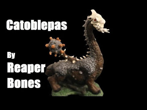 77698 CATOBLEPAS MINIATURE