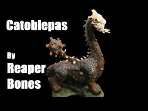 77698 CATOBLEPAS MINIATURE