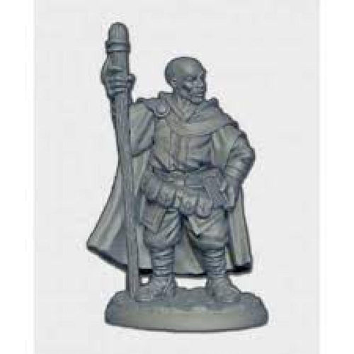 REAPER AMARI ADVENTURING WIZARD MINIATURE 04013
