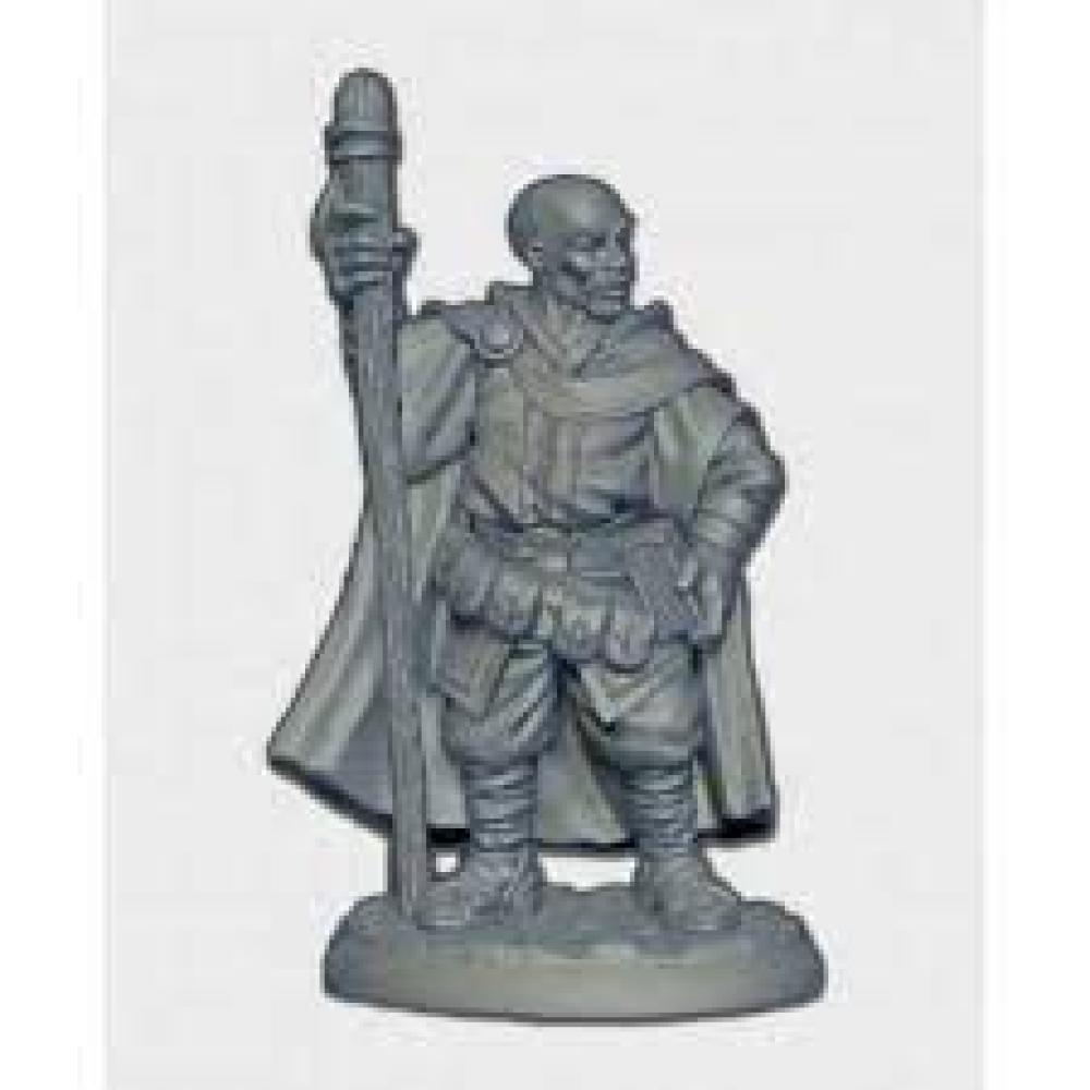 REAPER AMARI ADVENTURING WIZARD MINIATURE 04013